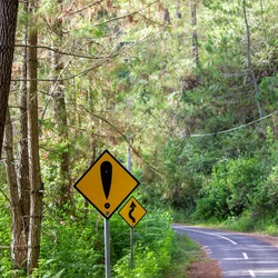Winding road with caution signs